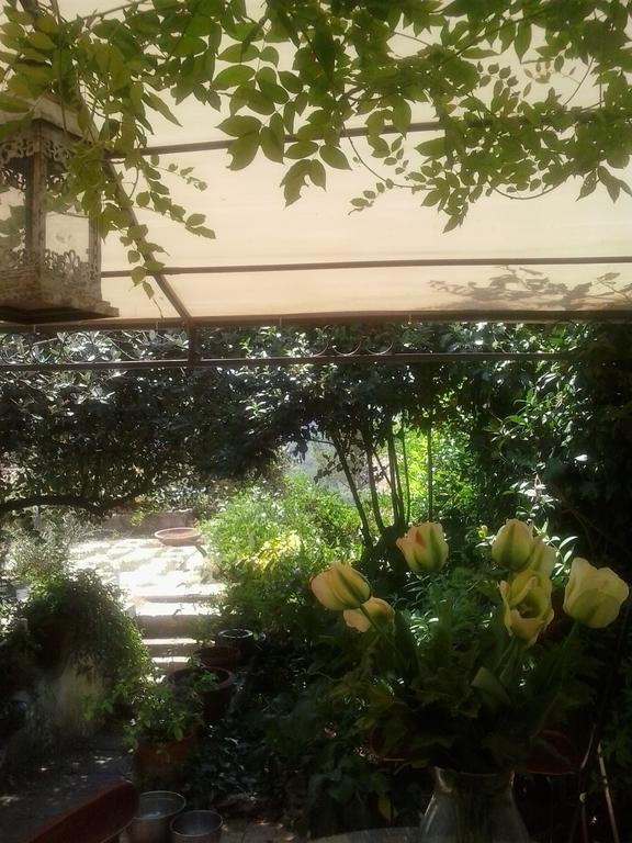 Il Cenacolo Di Sissi Apartment Campagnano Di Roma Luaran gambar