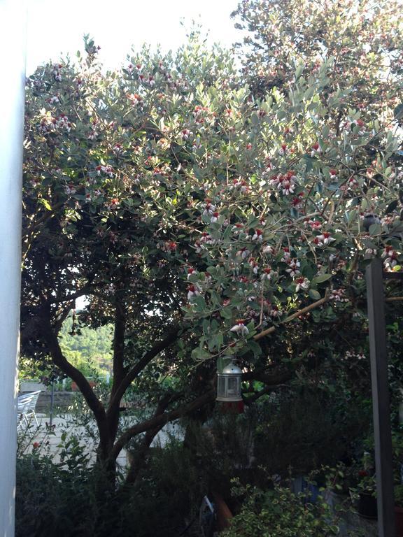 Il Cenacolo Di Sissi Apartment Campagnano Di Roma Luaran gambar